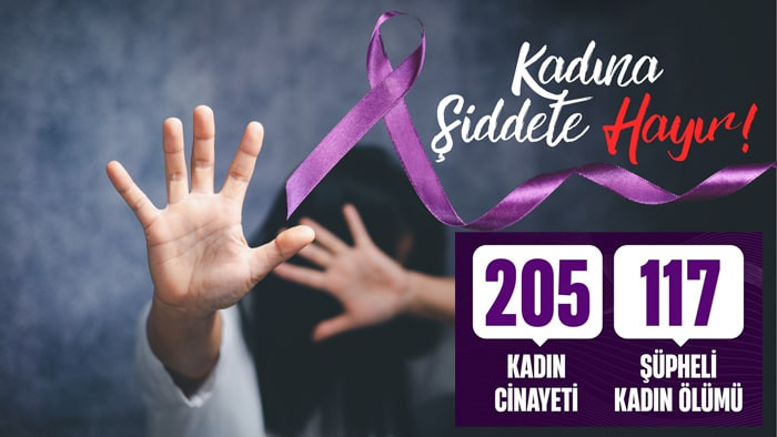 2024 yılı ilk 6 ayının acı tablosu: 205 kadın öldürüldü!