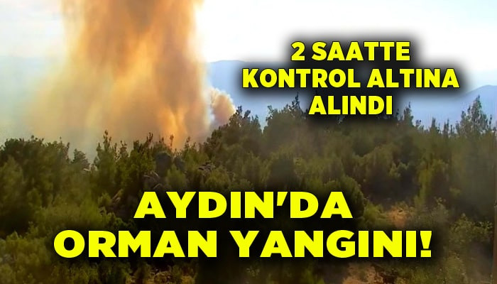 Aydın'da orman yangını! 2 saatte kontrol altına alındı