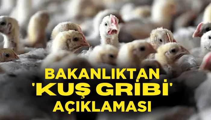 Bakanlıktan 'kuş gribi' açıklaması