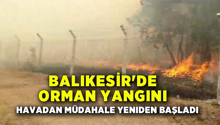 Balıkesir'deki orman yangını; kontrol altına alındı