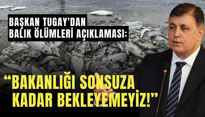 Başkan Tugay'dan balık ölümleri açıklaması: Bakanlığı sonsuza kadar bekleyemeyiz