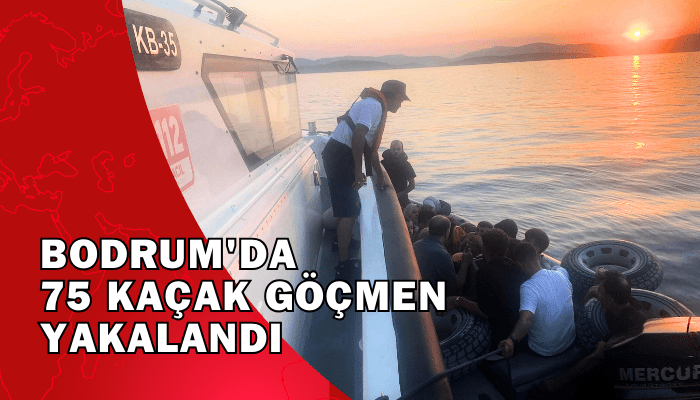 Bodrum'da 75 kaçak göçmen yakalandı