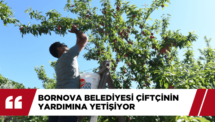 Bornova Belediyesi çiftçinin yardımına yetişiyor