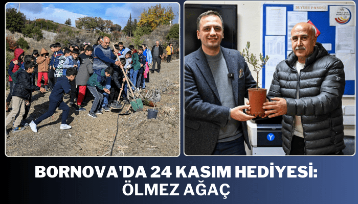 Bornova'da 24 Kasım hediyesi: Ölmez ağaç