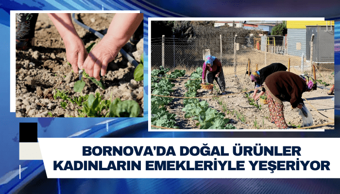 Bornova'da doğal ürünler kadınların emekleriyle yeşeriyor