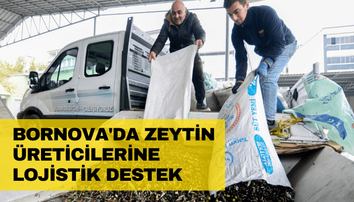 Bornova'da zeytin üreticilerine lojistik destek