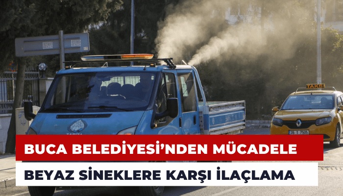 Buca Belediyesi, beyaz sineklere karşı ilaçlama başlattı