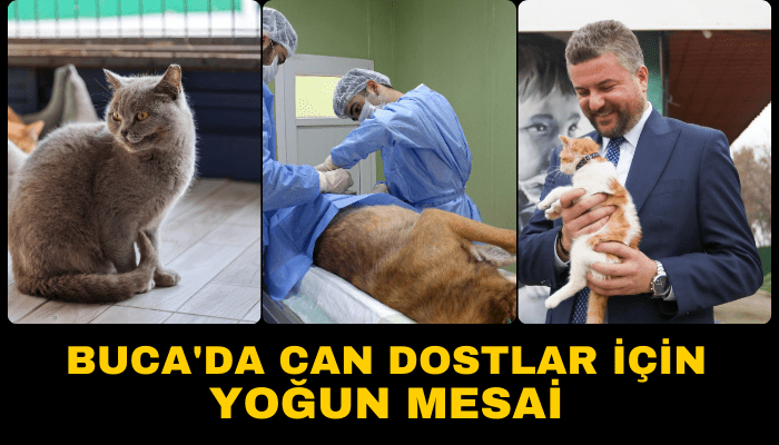 Buca'da can dostlar için yoğun mesai