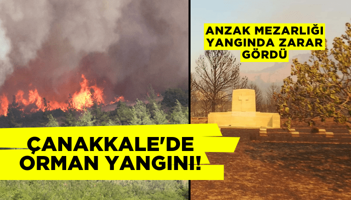 Çanakkale'deki orman yangını!