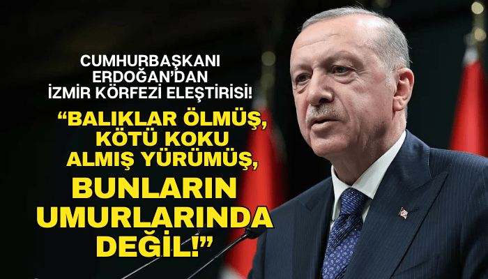 Cumhurbaşkanı Erdoğan'dan İzmir Körfezi eleştirisi!