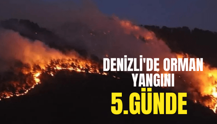 Denizli'de orman yangınını beşinci günde