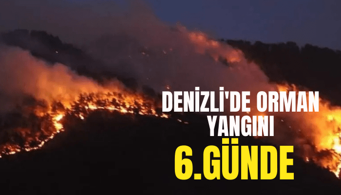 Denizli'deki orman yangını 6'ncı gününde