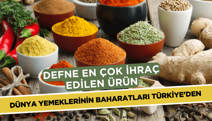 Dünya yemeklerinin baharatları Türkiye'den