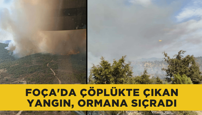 Foça'da çöplükte çıkan yangın, ormana sıçradı