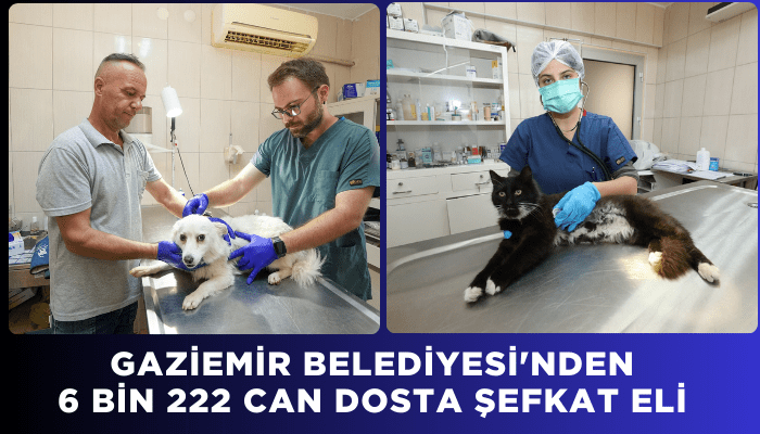 Gaziemir Belediyesi'nden 6 bin 222 can dosta şefkat eli