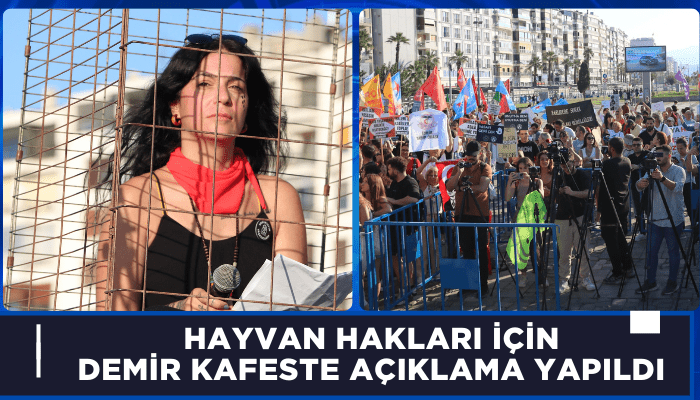 Hayvan hakları için demir kafeste açıklama yaptılar