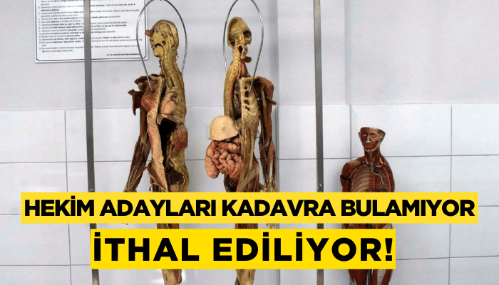 Hekim adayları kadavra bulamıyor, ithal ediliyor!