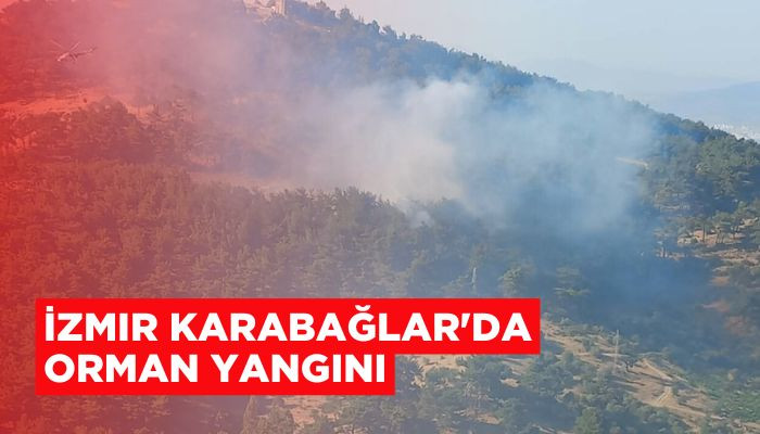 İzmir Karabağlar'da orman yangını