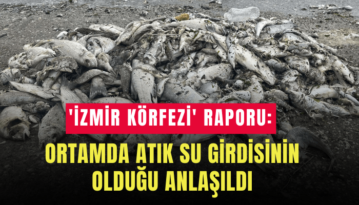 İzmir Körfezi raporu: Ortamda atık su girdisinin olduğu anlaşıldı