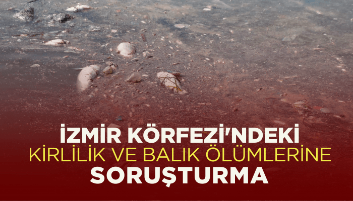 İzmir Körfezi'ndeki kirlilik ve balık ölümlerine soruşturma