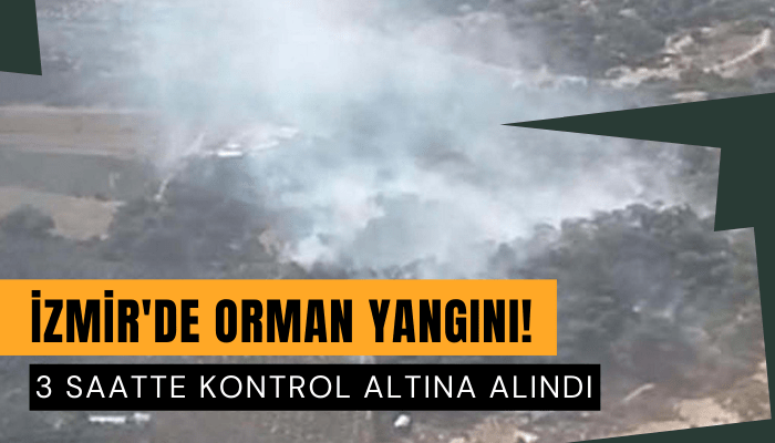 İzmir'de orman yangını! Havadan ve karadan müdahale ediliyor