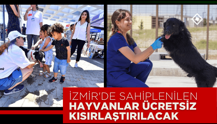 İzmir'de sahiplenilen hayvanlar ücretsiz kısırlaştırılacak