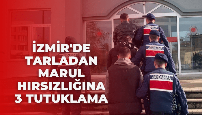 İzmir'de tarladan marul hırsızlığına 3 tutuklama