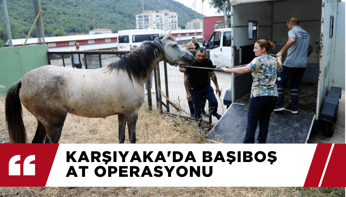 Karşıyaka'da başıboş at operasyonu