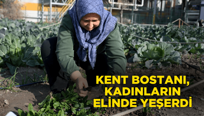 Kent Bostanı, kadınların elinde yeşerdi