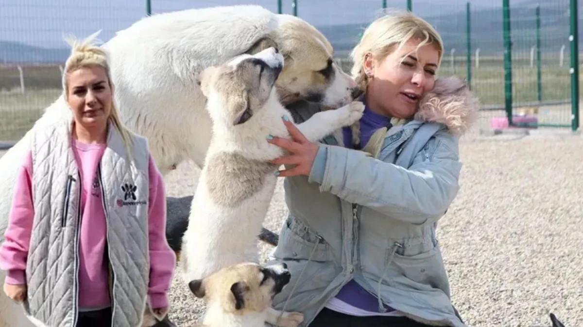 'Köpek Velisi' ve 2 kişi tutuklandı