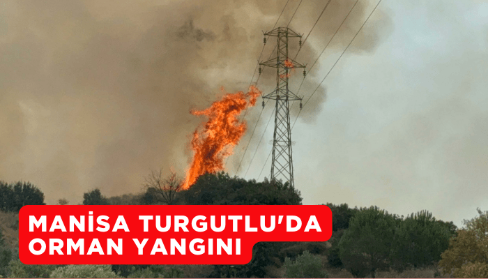 Manisa Turgutlu'da orman yangını