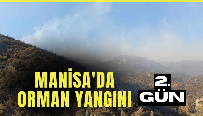 Manisa'daki orman yangını 2'nci gününde