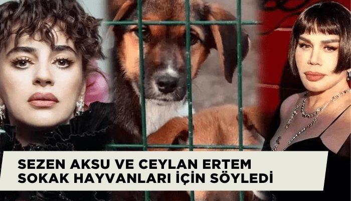 Sezen Aksu ve Ceylan Ertem sokak hayvanları için söyledi