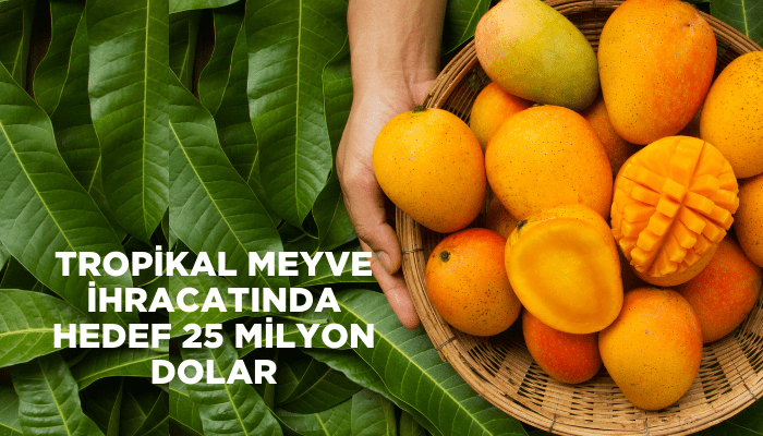 Tropikal meyve ihracatında hedef 25 milyon dolar