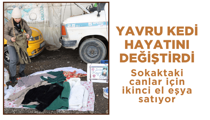 Yavru kedi hayatını değiştirdi; sokaktaki canlar için ikinci el eşya satıyor